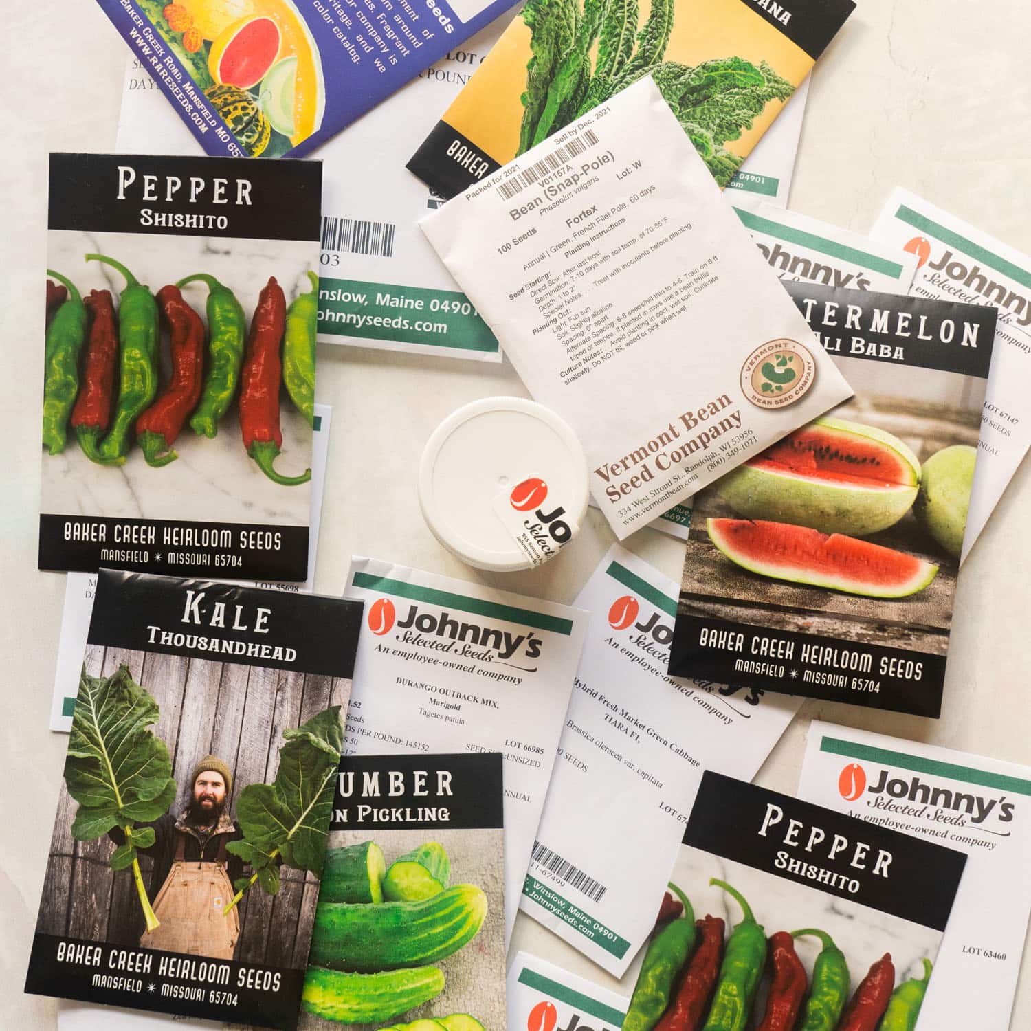 Zone 7 Spring Gardening: Your Monthly Planting & Care Guide